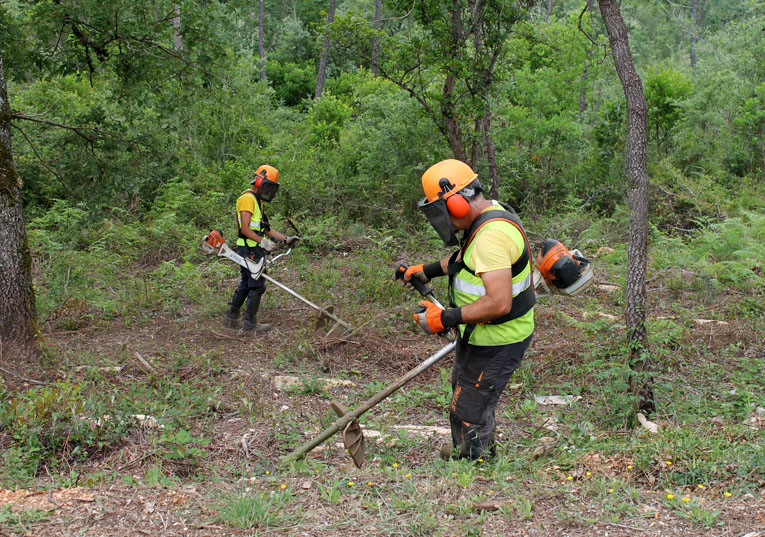 Essência Vertical,lda - Albufeira - Remoção de Tronco de Árvore