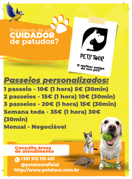 Pets Tour - Braga - Hundeausführung