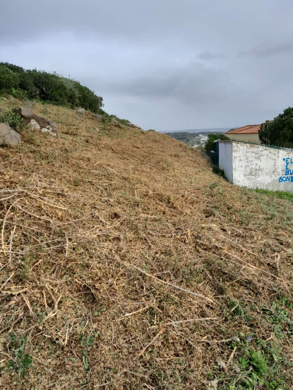 Land clearance specialist