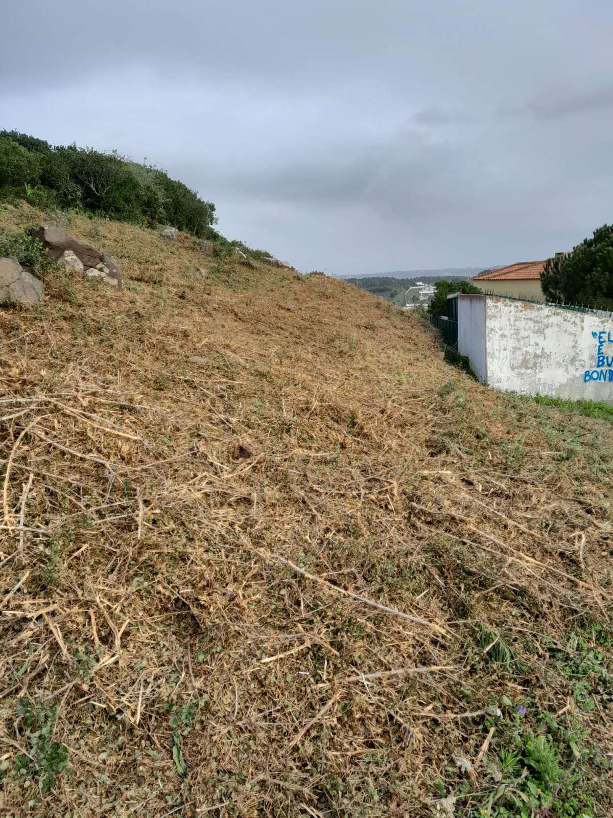 Especialista de Limpeza de Terrenos