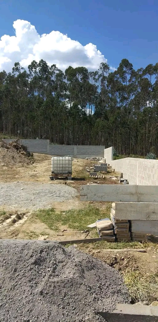 Mais obras - Barcelos - Poda e Manutenção de Árvores