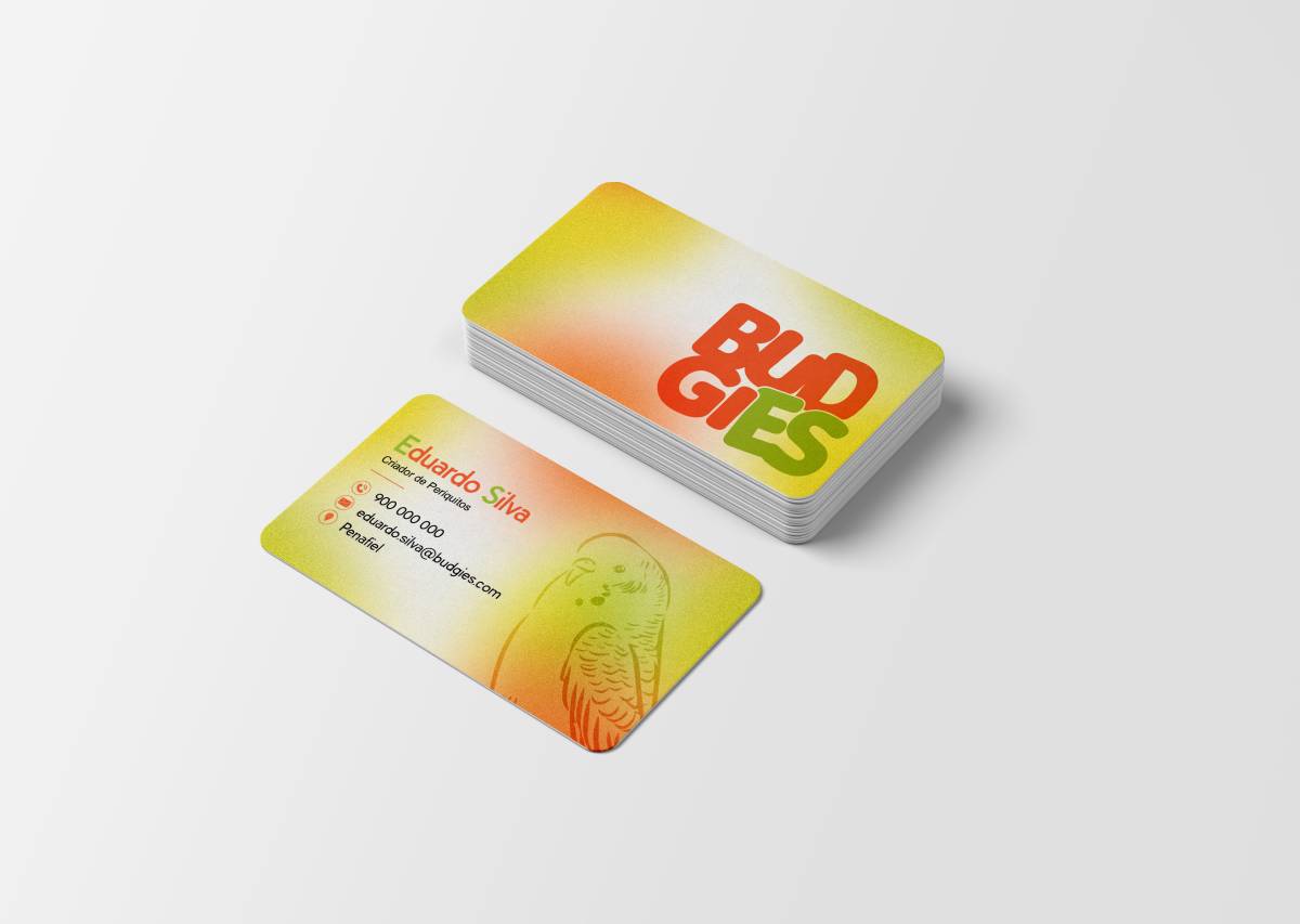 Graphic Shades - Santa Maria da Feira - Graphic Design