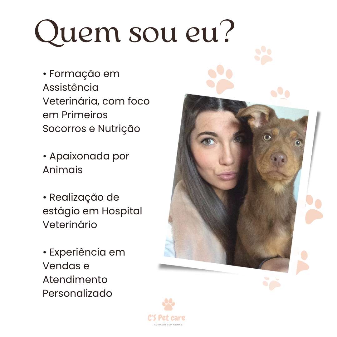 C's Pet Care - Matosinhos - Creche para Cães