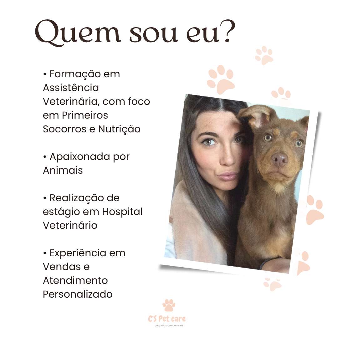 C's Pet Care - Matosinhos - Dog Daycare