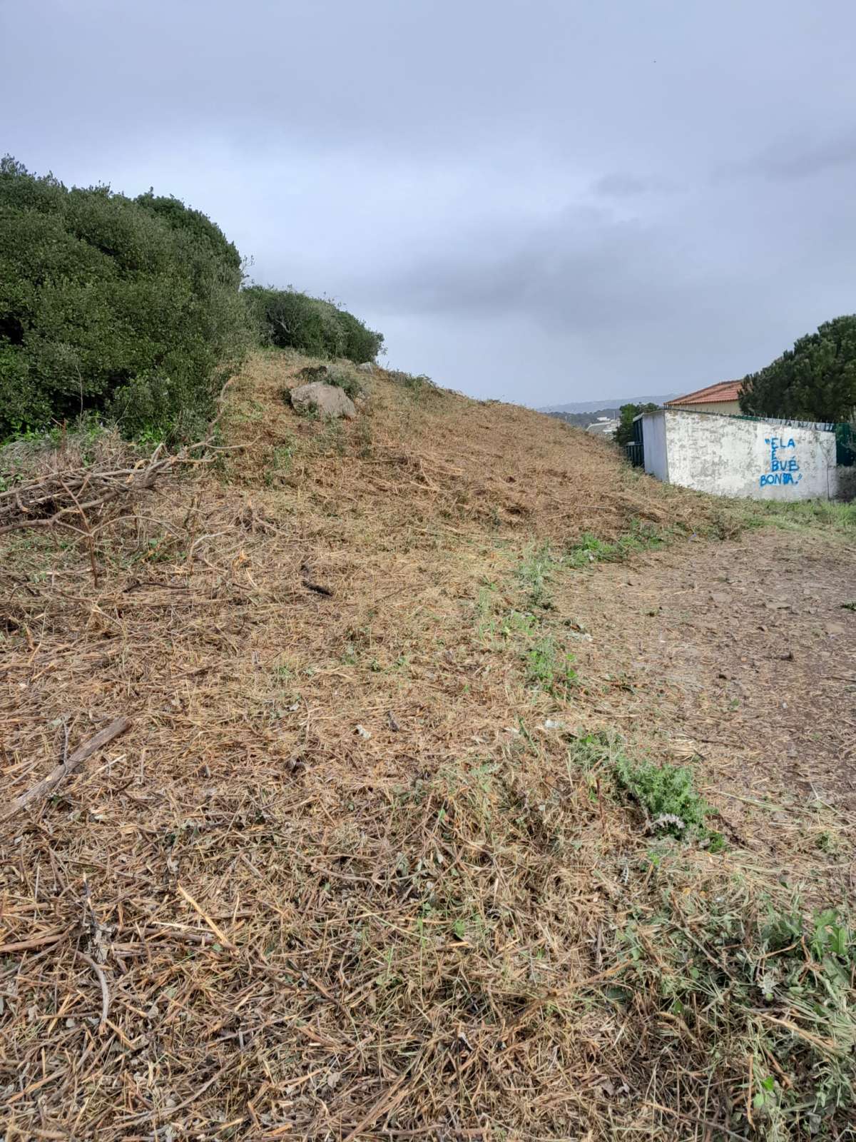 Land clearance specialist - Home Improvements