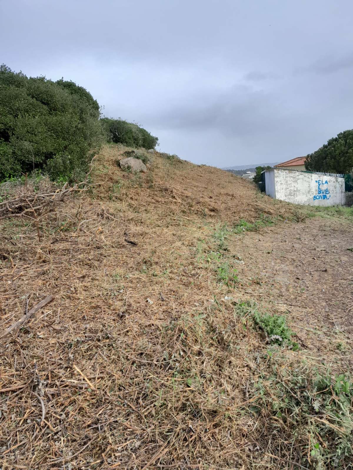 Especialista de Limpeza de Terrenos - Casa