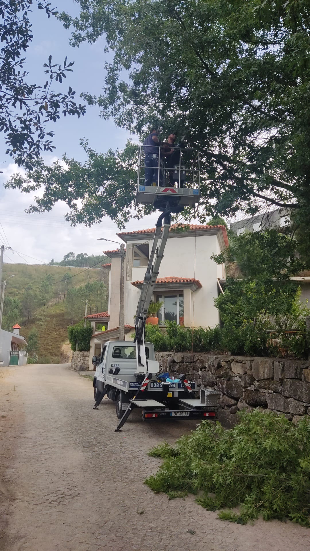 Luís Navarro - Maia - Remoção de Arbustos