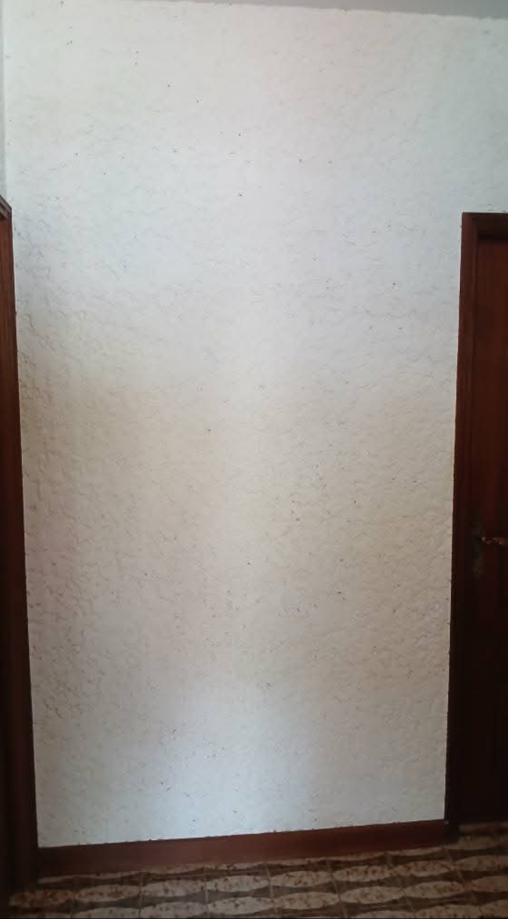 Pintura Fernandes - Vila Nova de Famalicão - Démolition de bâtiments