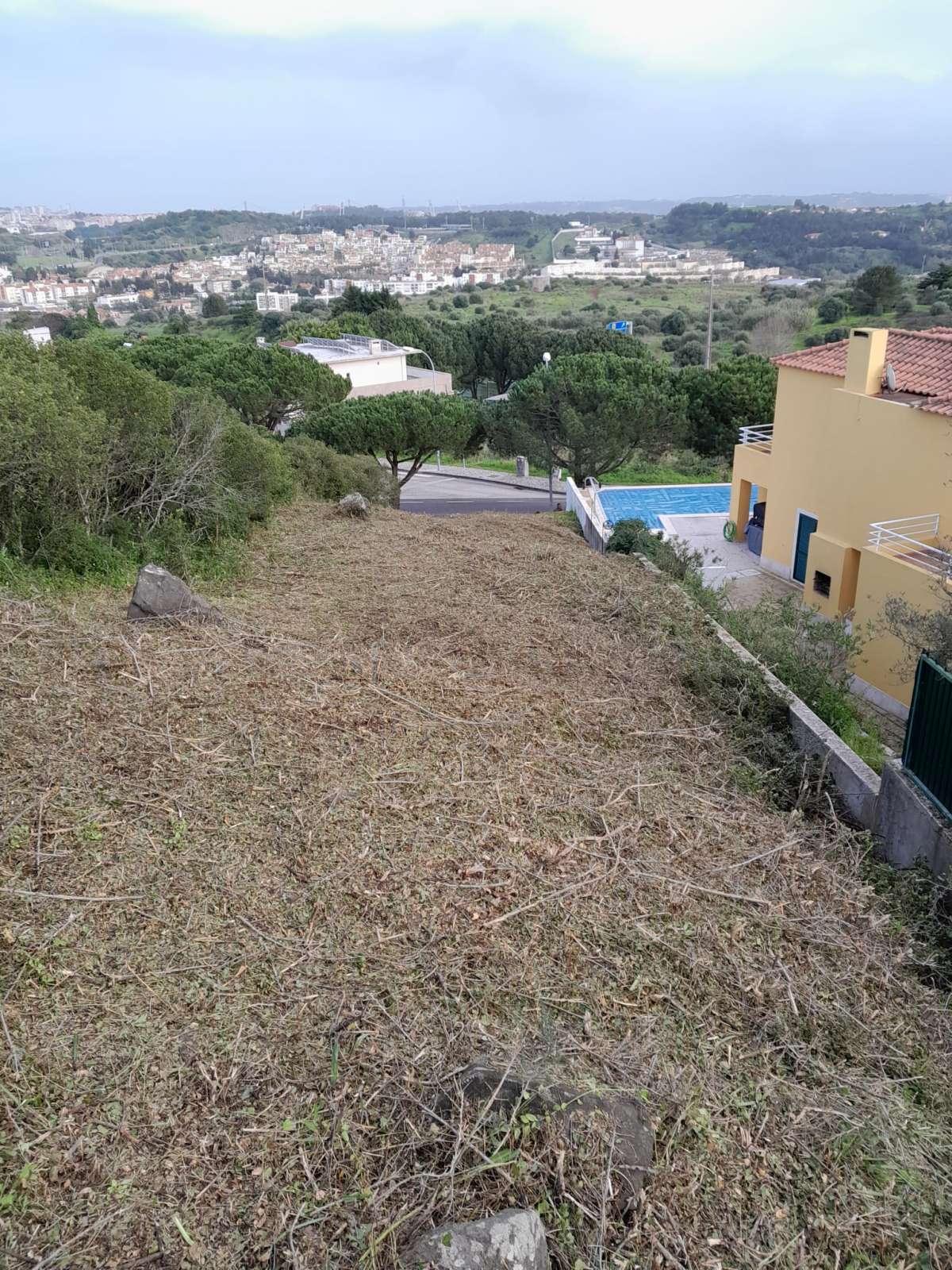 Especialista de Limpeza de Terrenos - Casa