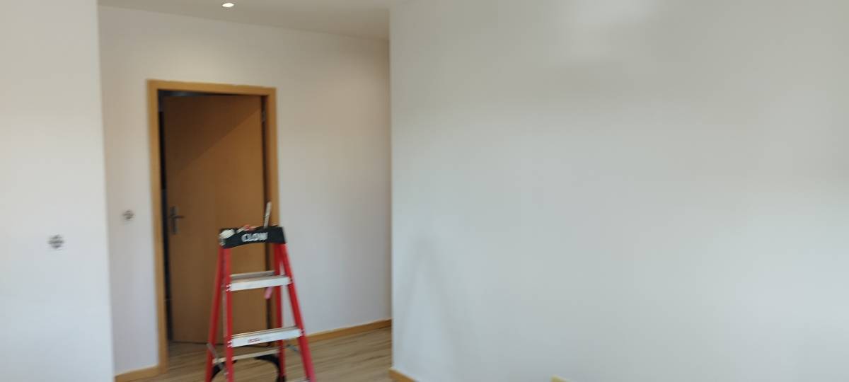 Ricardo - Braga - Cabinet Painting