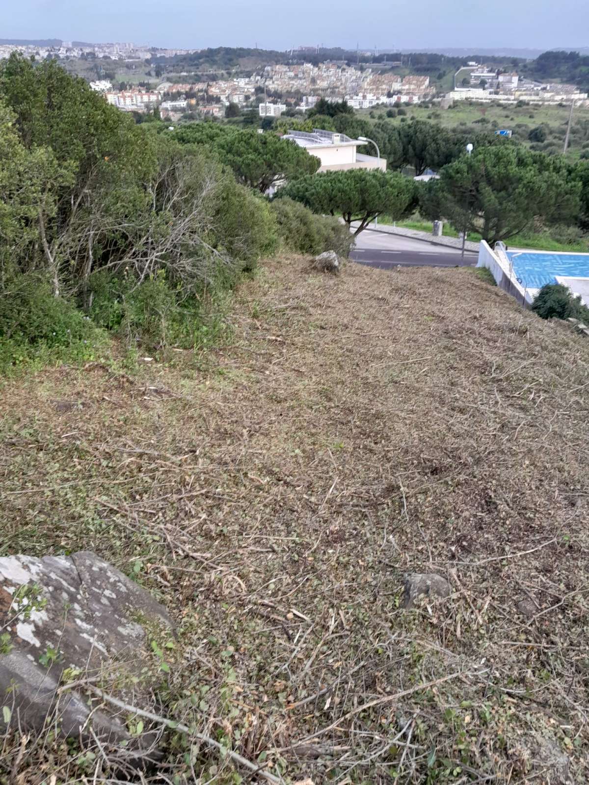 Land Clearance - Lawncare