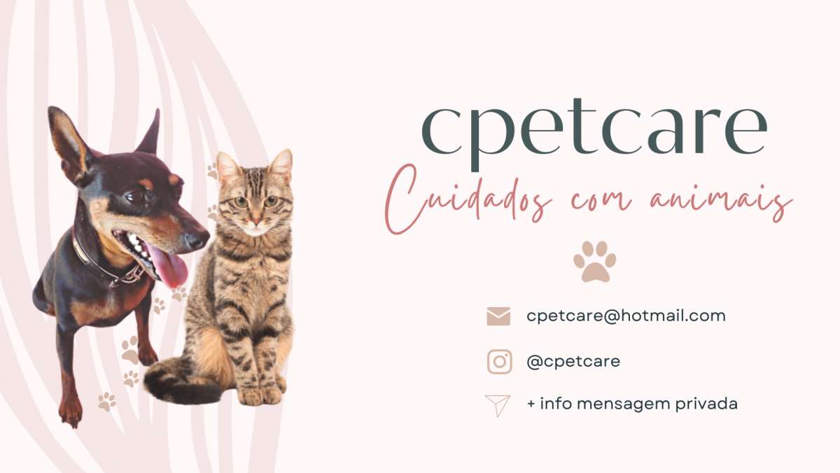 C's Pet Care - Matosinhos - Dog Walking