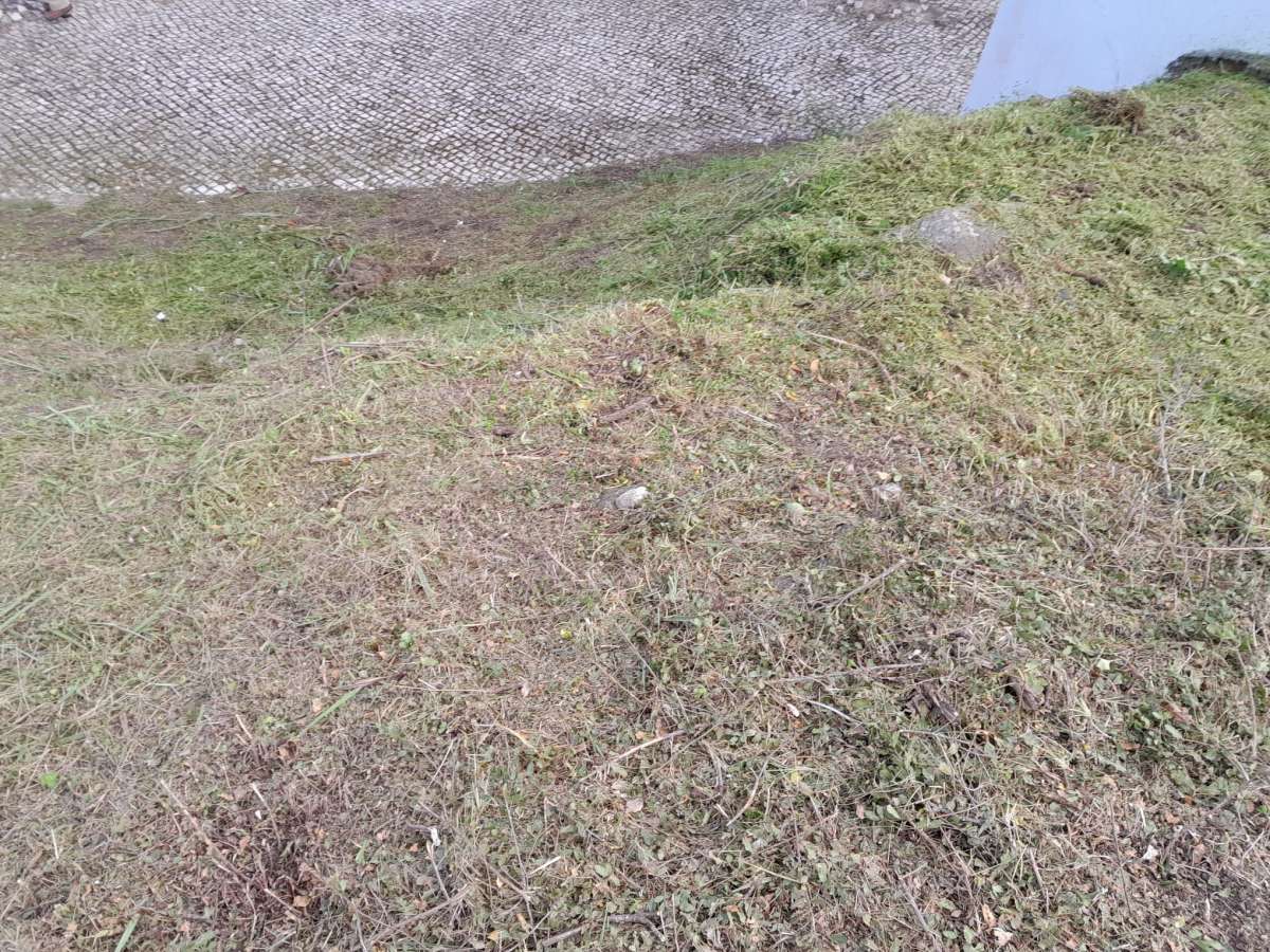 Land clearance specialist