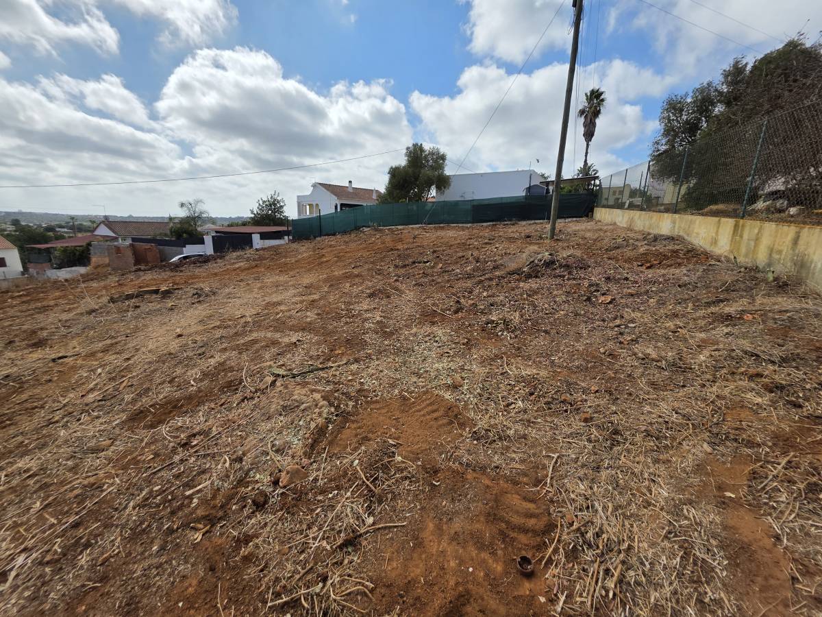 Empresa de limpieza de terrenos