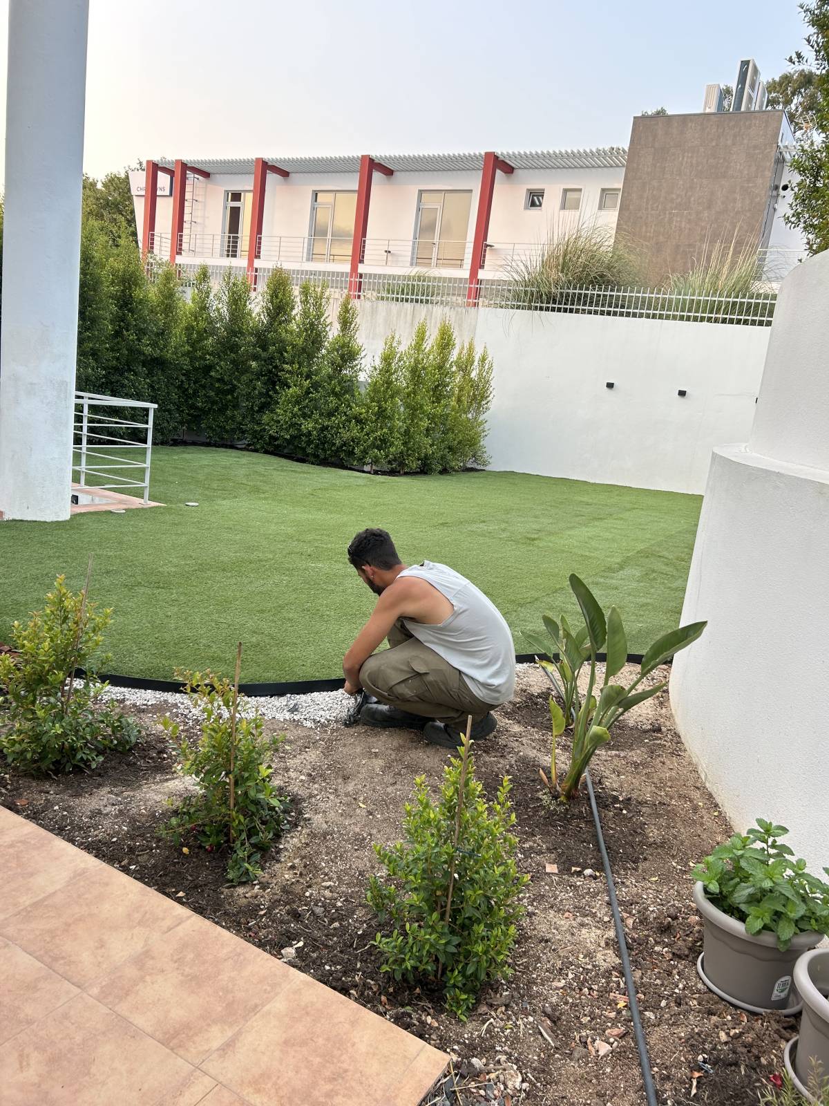 TS Garden - Cascais - Baumpflege