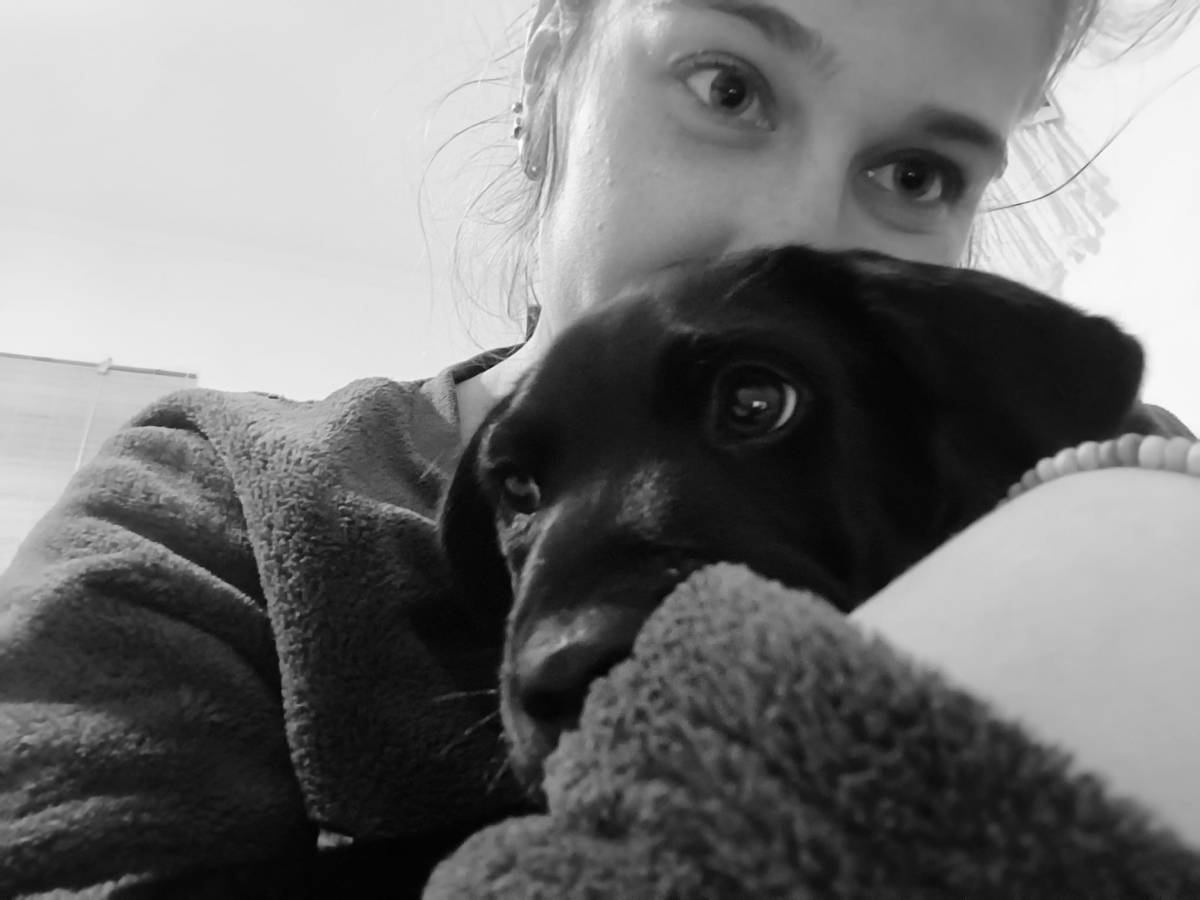 Tavira Pet Sitting - Tavira - Banhos e Tosquias para Animais