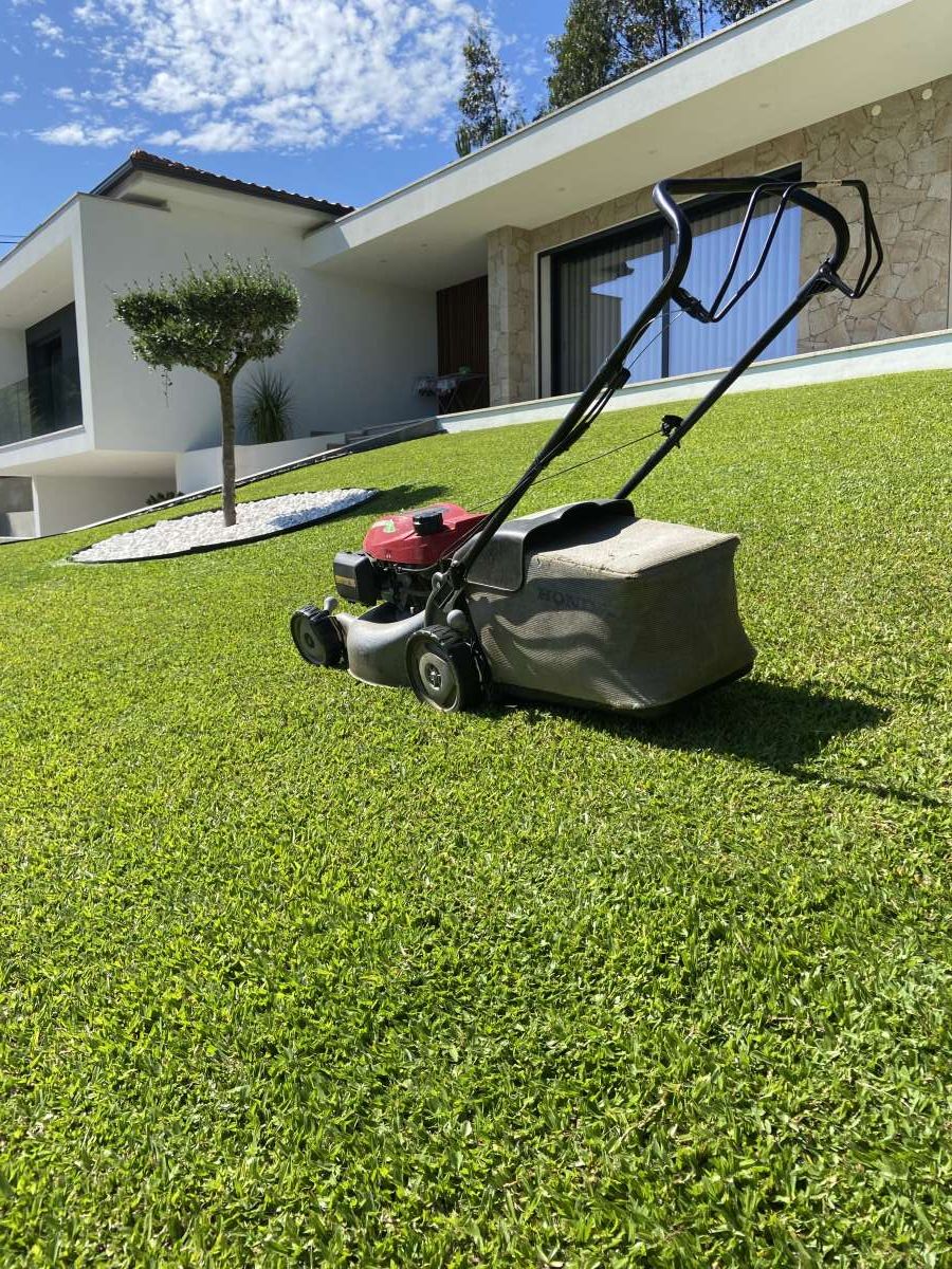 Joel veloso - Braga - Irrigação e Cuidados com Plantas
