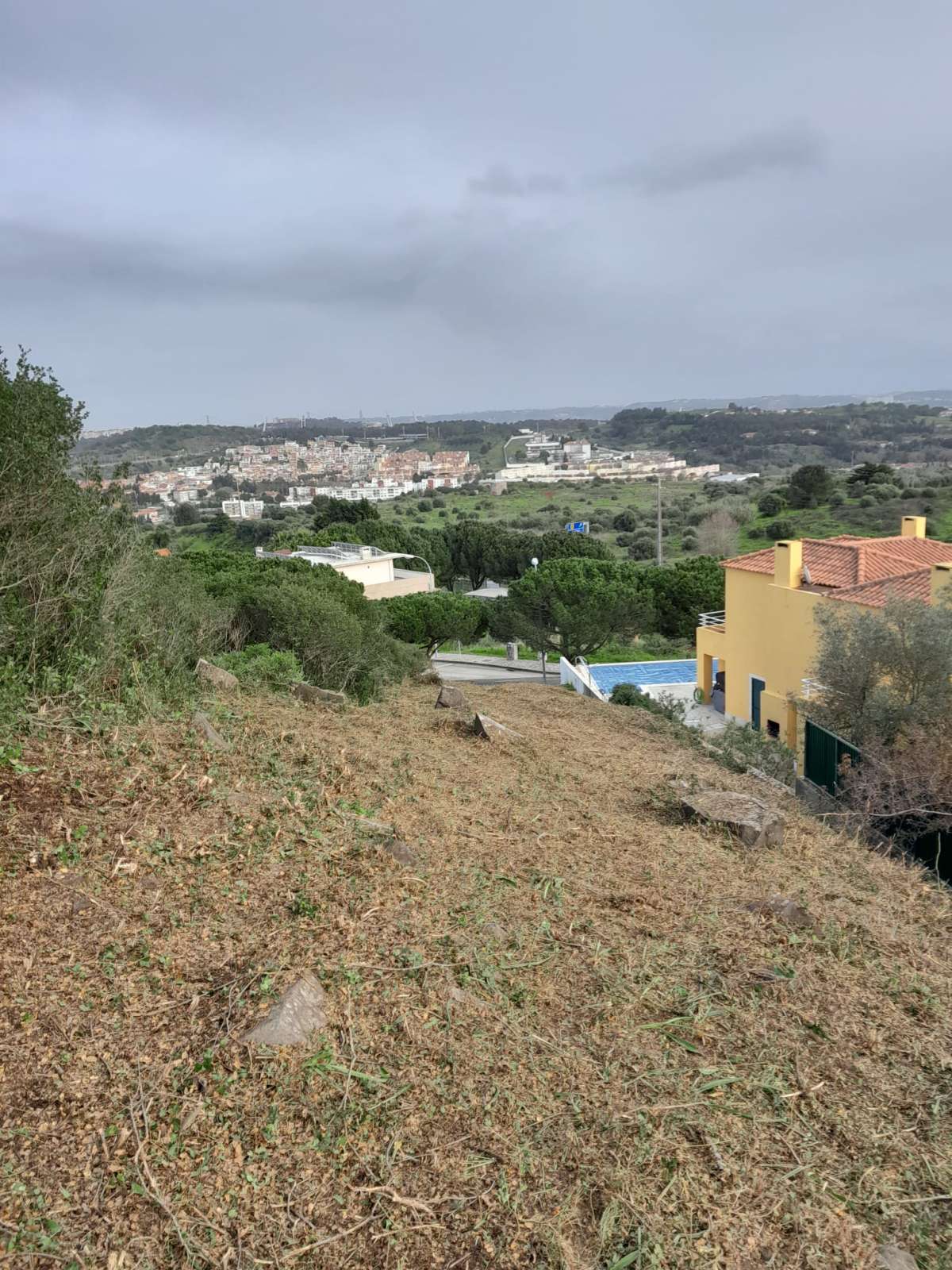 Land clearance specialist - Home Improvements