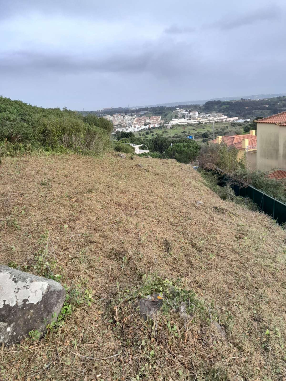 Land Clearance