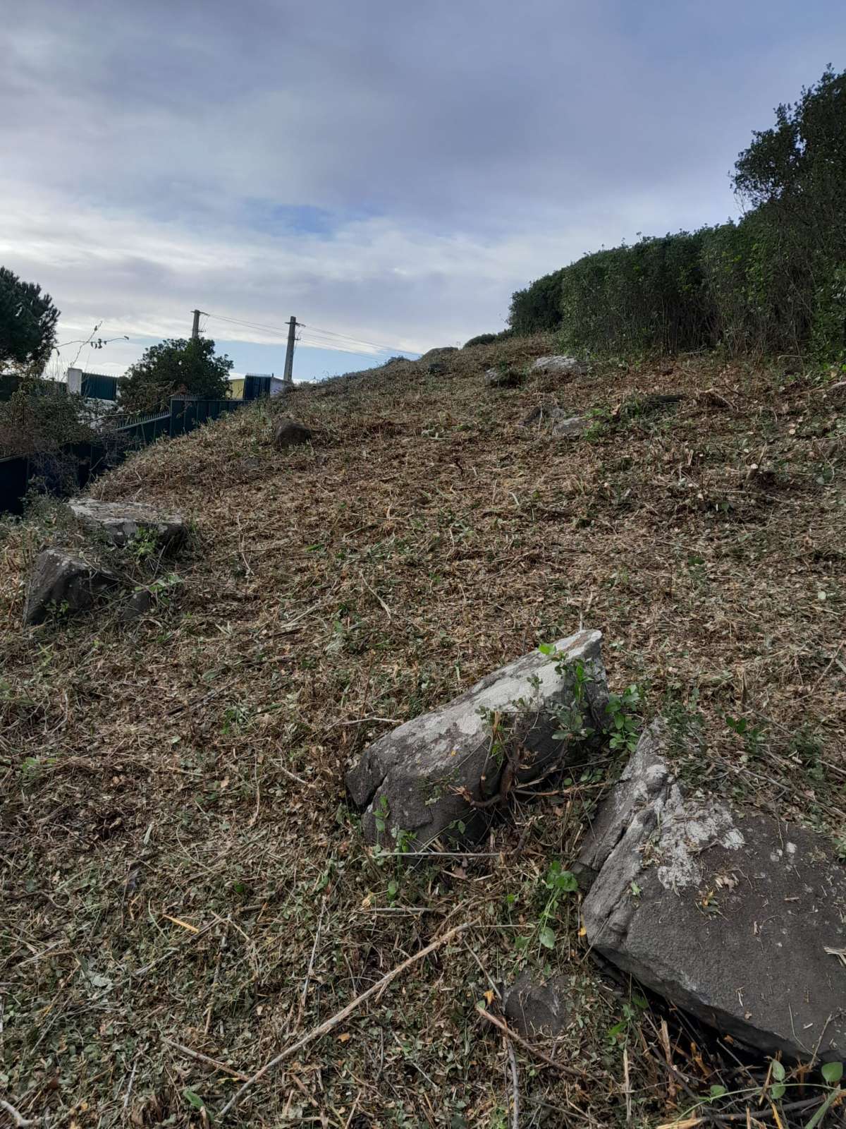 Limpeza de Terrenos - Jardinagem e Relvados