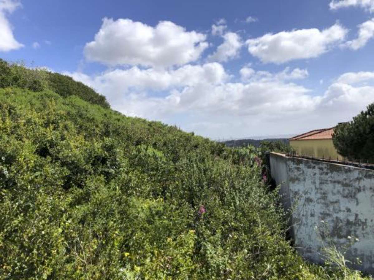Land Clearance - Lawncare