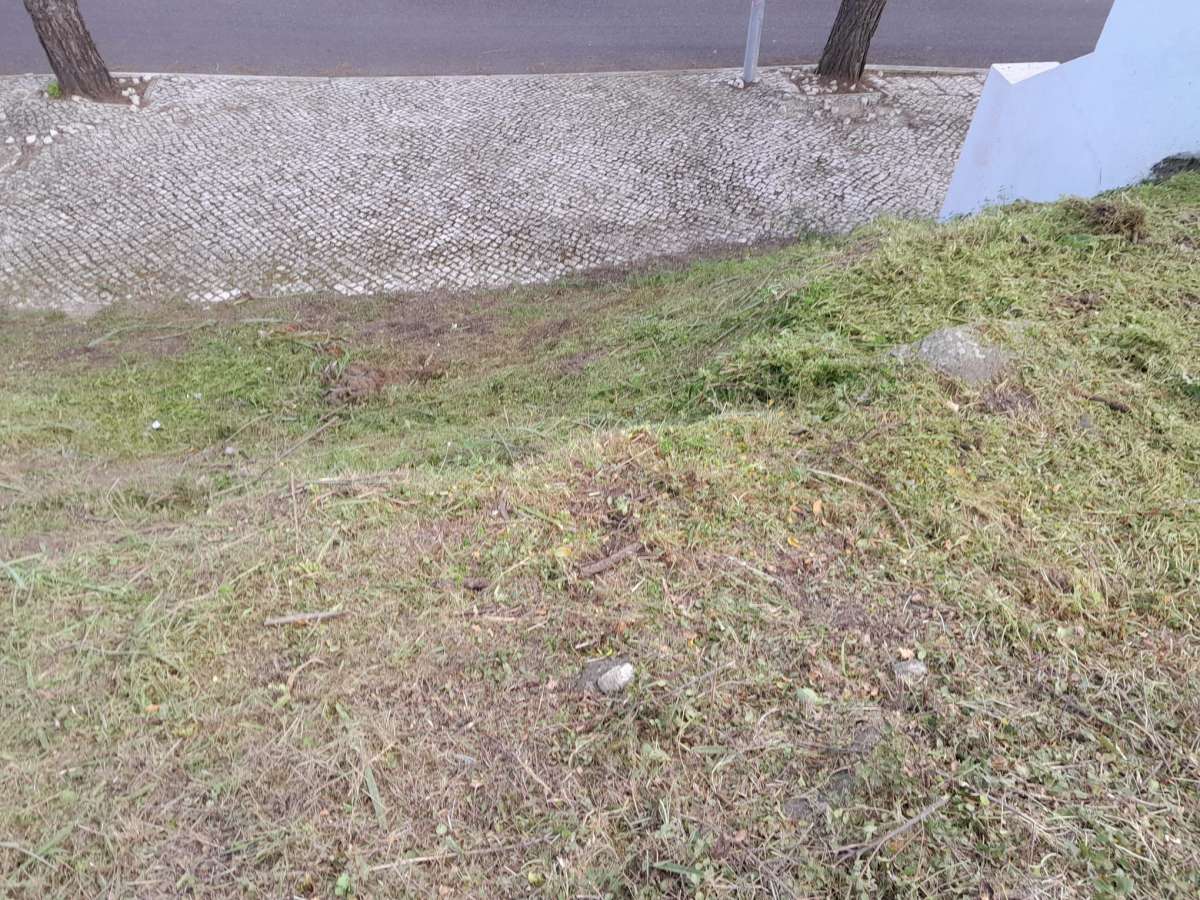 Lawncare