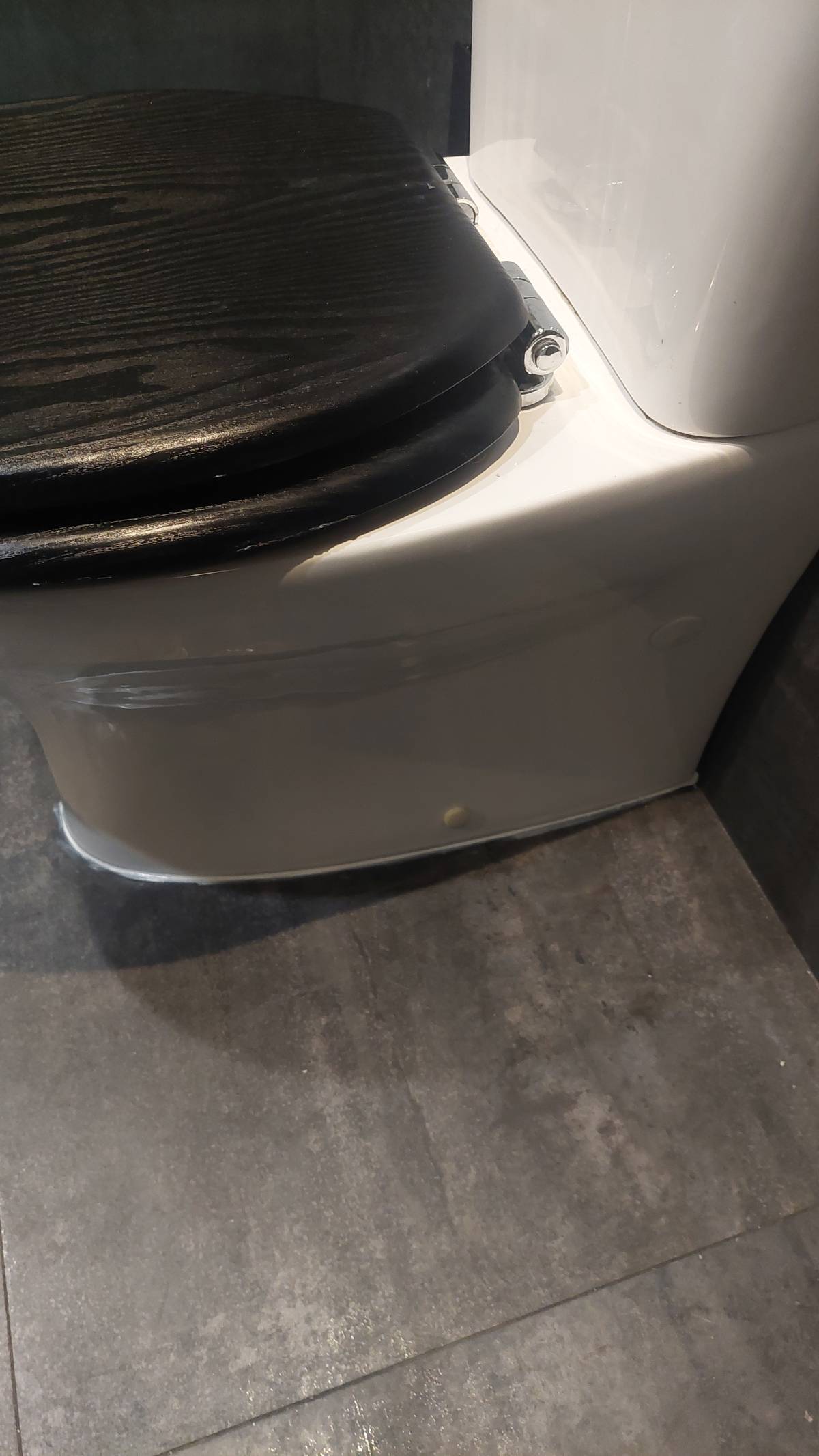 Canalizador (Reparação de Sanita)