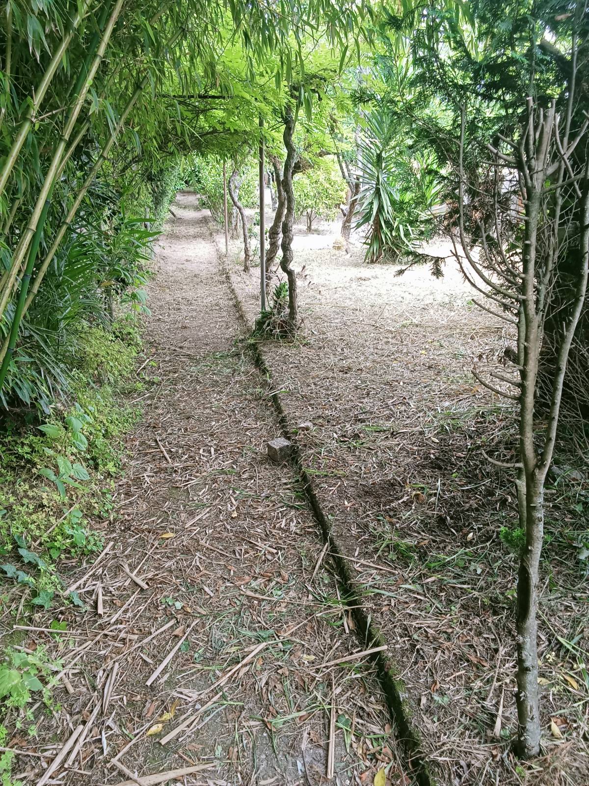 Luís Navarro - Maia - Shrub Removal