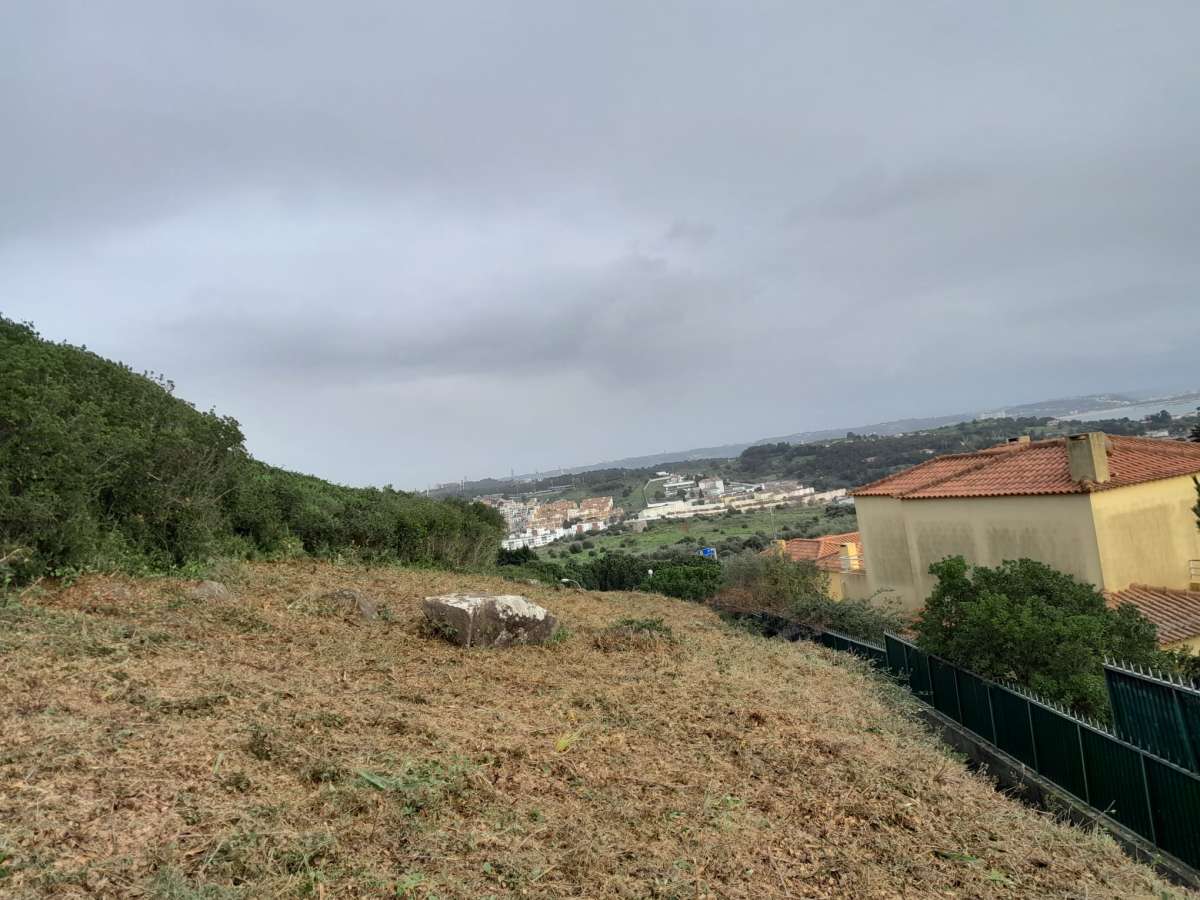 Land Clearance