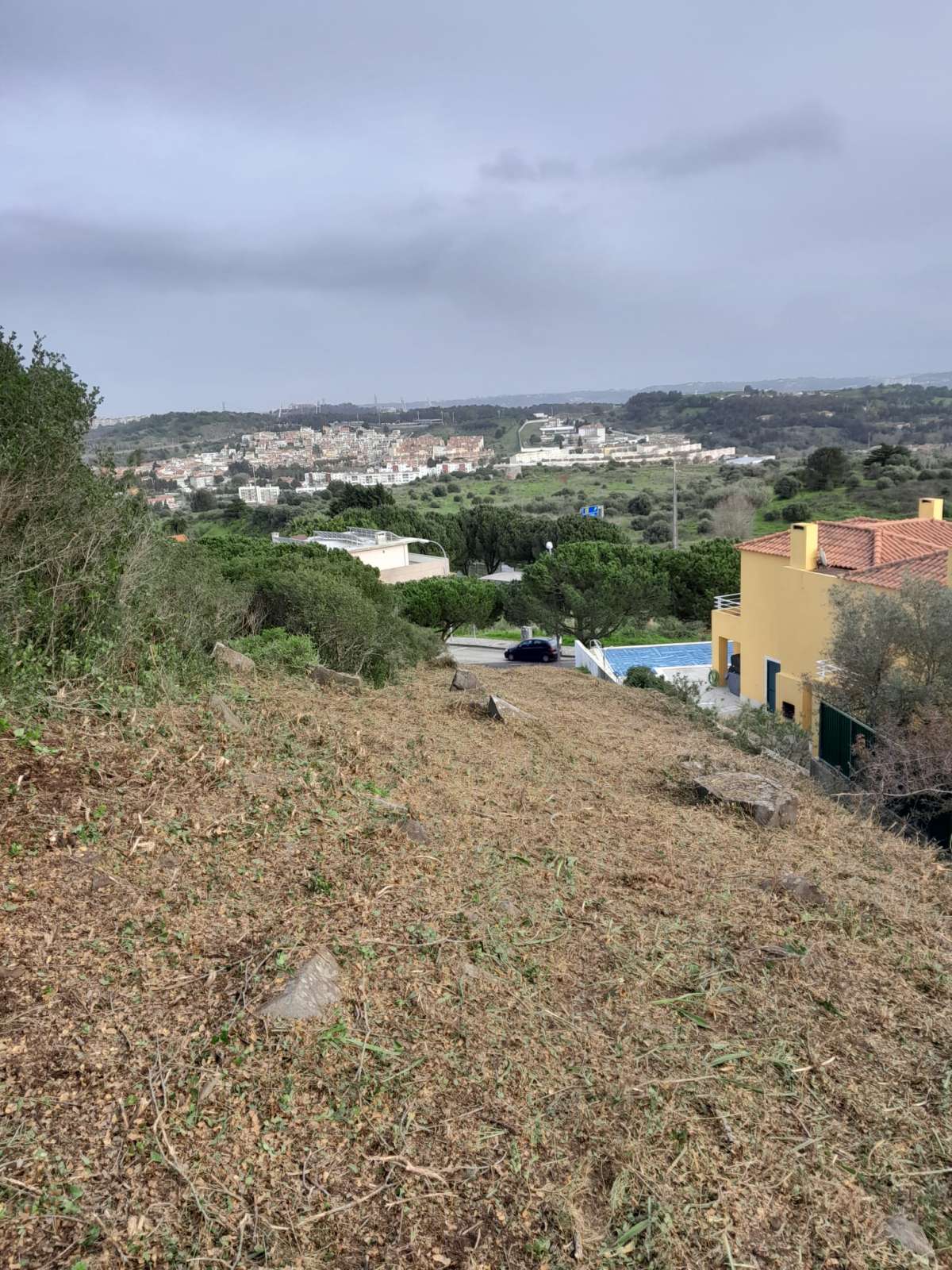 Land Clearance