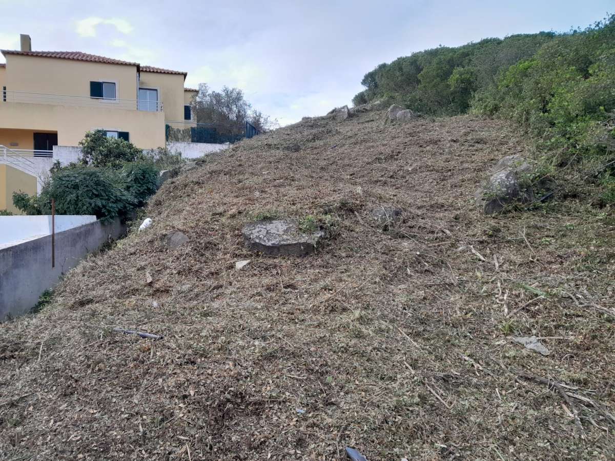 Land Clearance