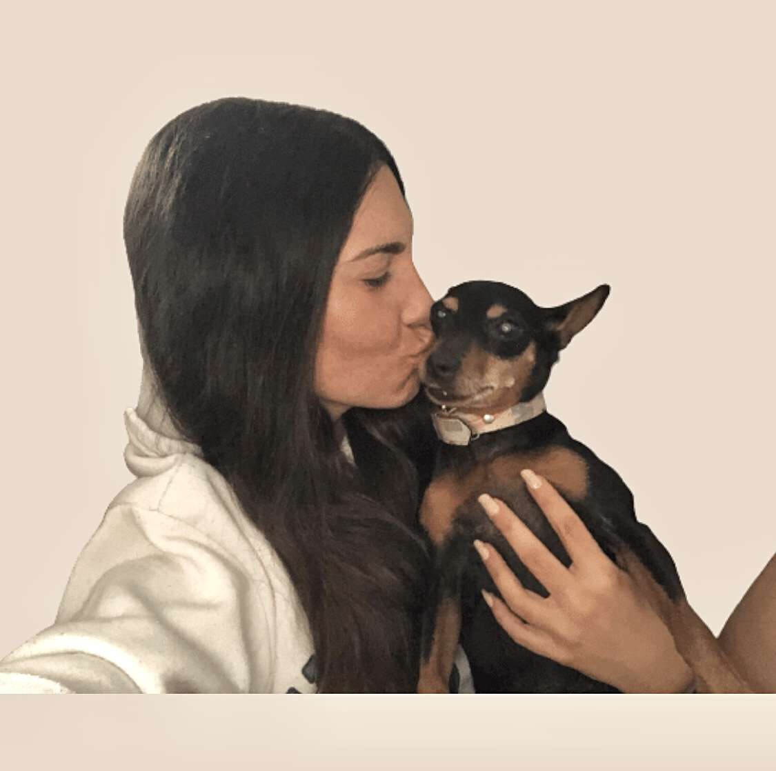 C's Pet Care - Matosinhos - Dog Hotel