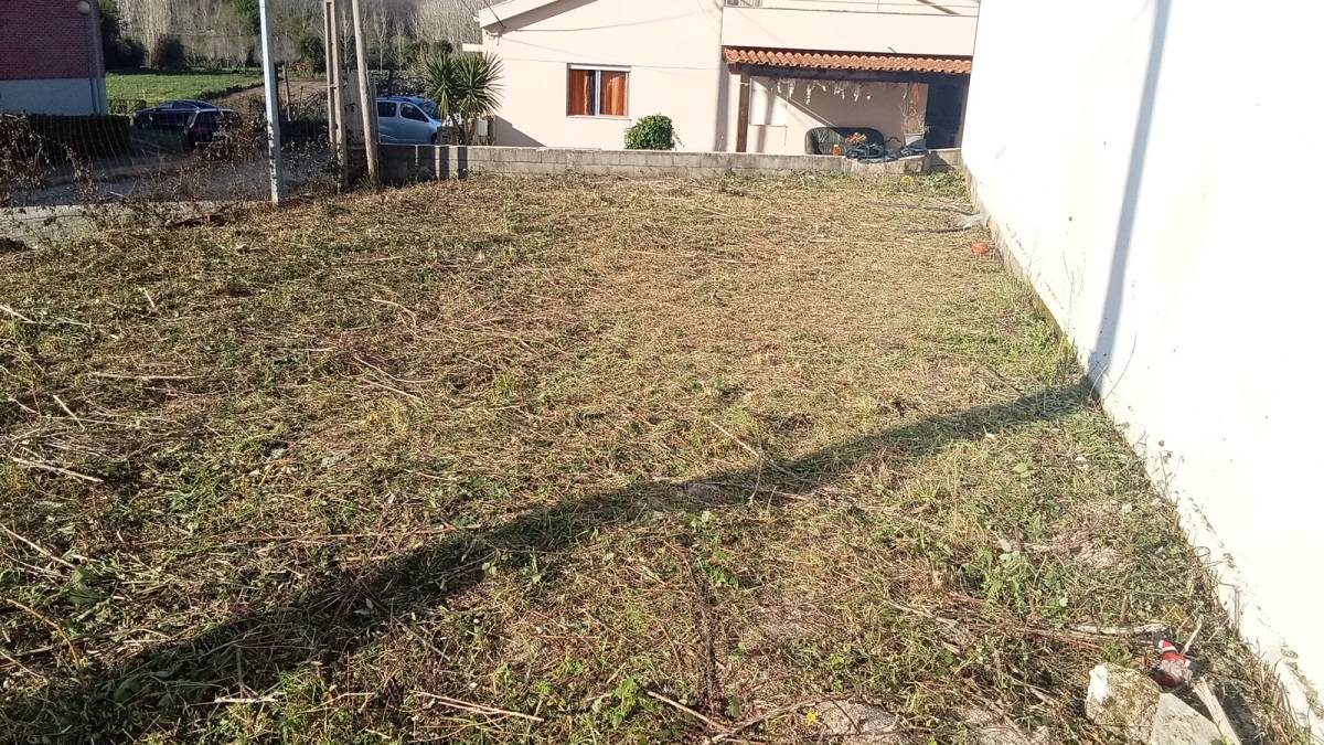 Luís Navarro - Maia - Multi Service Lawn Care