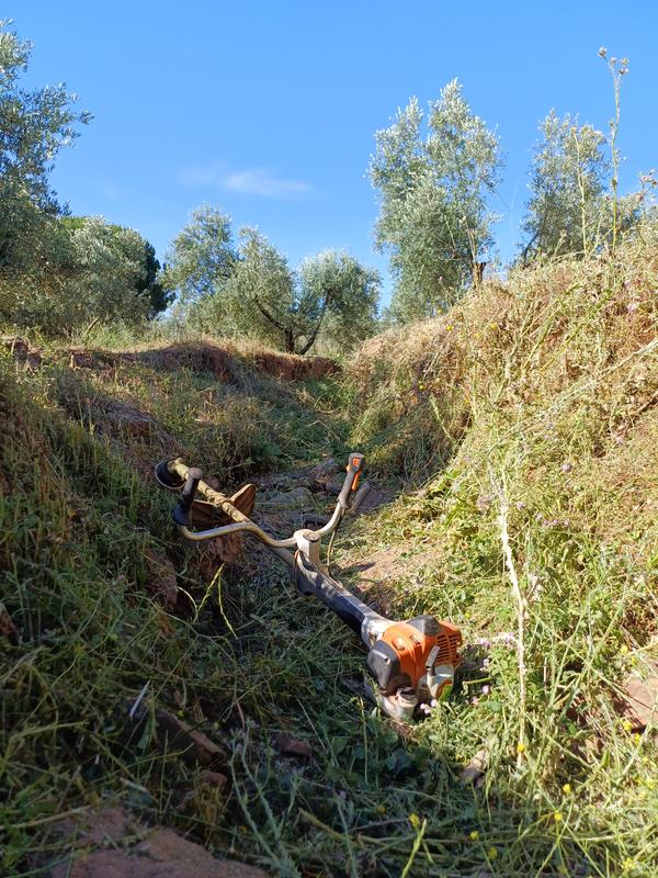 Essência Vertical,lda - Albufeira - Shrub Removal