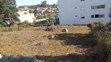 Luís Navarro - Maia - Poda e Manutenção de Árvores