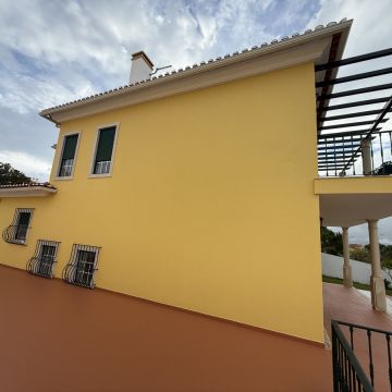 MULTIservice - Caldas da Rainha - Enlèvement de souches d’arbres