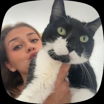 Cuidadora de Animais - Sintra - Garde d'animaux