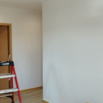 Ricardo - Braga - Cabinet Painting
