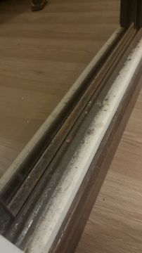 Fine Woodworking