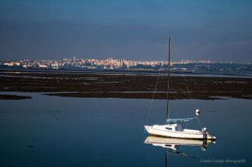 Vanda Estriga - Moita - Real Estate Appraisal