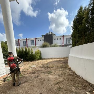 TS Garden - Cascais - Baumstumpf oder -wurzel wegfräsen und entfernen