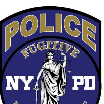 NYPD Private Detectives New York, We Operate Worldwide, Lisbon Headquarters - Lisboa - Dog Training - Private Lessons