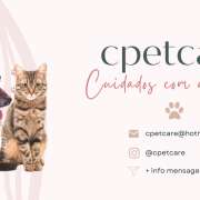 C's Pet Care - Matosinhos - Dog Walking