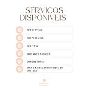 C's Pet Care - Matosinhos - Cat Sitting