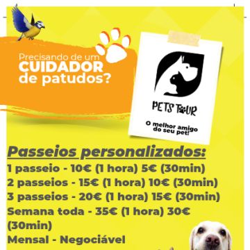 Pets Tour - Braga - Haustierpflege
