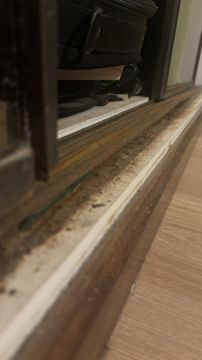 Fine Woodworking - Carpentry and Woodworking