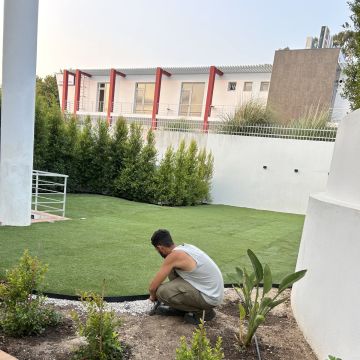 TS Garden - Cascais - Baumpflege