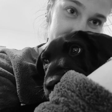 Tavira Pet Sitting - Tavira - Banhos e Tosquias para Animais