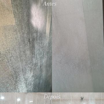 Ana Paula - Azambuja - Eliminación de arbustos