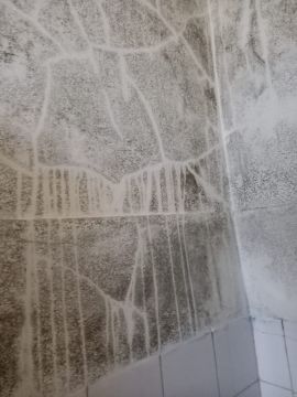 Pintor de Interiores - Casa